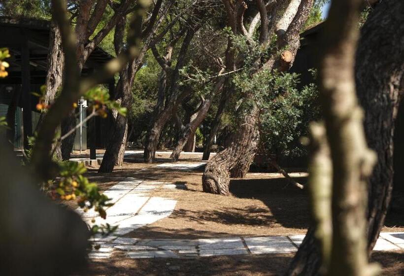 スタンダードルーム, Villaggio Camping Torre Del Porticciolo