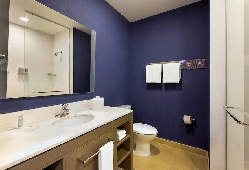 Standard-studio Parivuode, Residence Inn By Marriott Cancun Hotel Zone