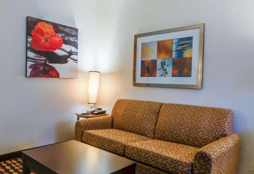 מיטת קינג בסוויטה, Comfort Suites Northside Hospital Gwinnett