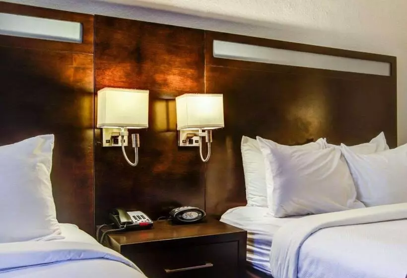 スイート, Comfort Suites Northside Hospital Gwinnett