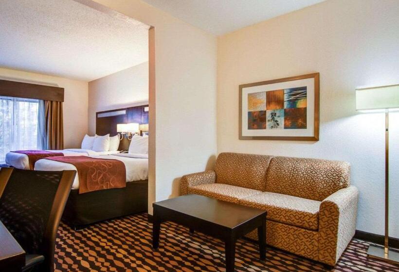 סוויטה, Comfort Suites Northside Hospital Gwinnett
