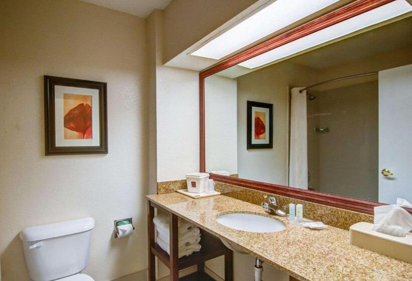 Люкс, Comfort Suites Northside Hospital Gwinnett