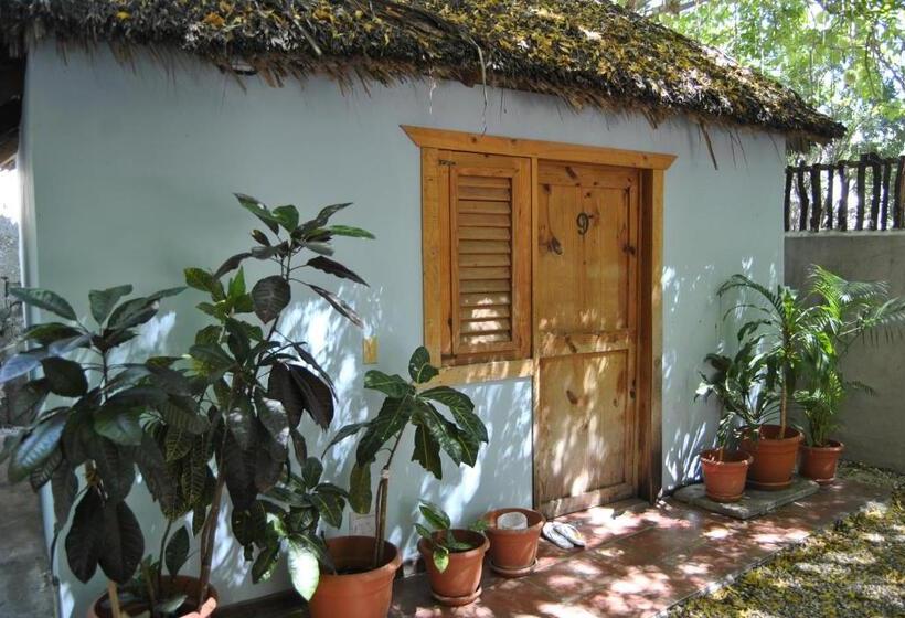 اتاق استاندارد, Loro Tuerto