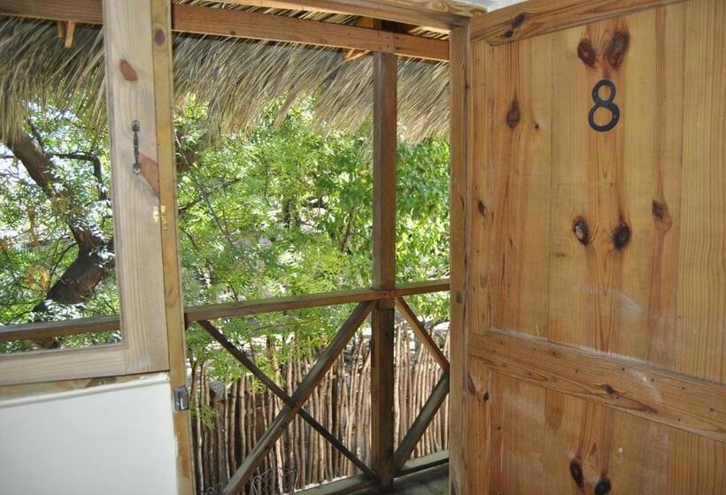 اتاق استاندارد, Loro Tuerto