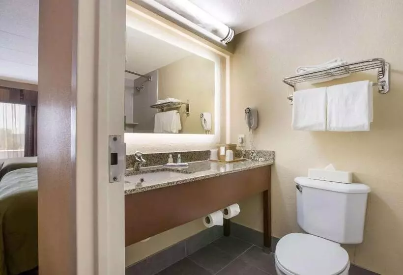 اتاق استاندارد, Quality Inn Near Princeton