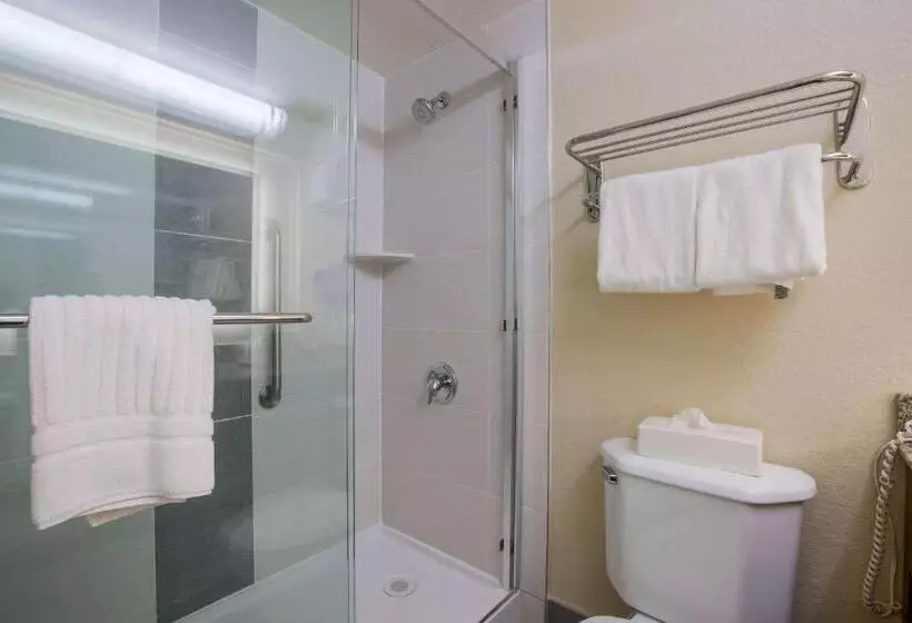 اتاق استاندارد با تخت بزرگ, Quality Inn Near Princeton
