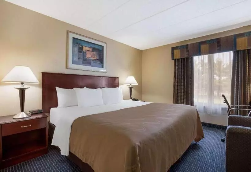 اتاق استاندارد با تخت بزرگ, Quality Inn Near Princeton