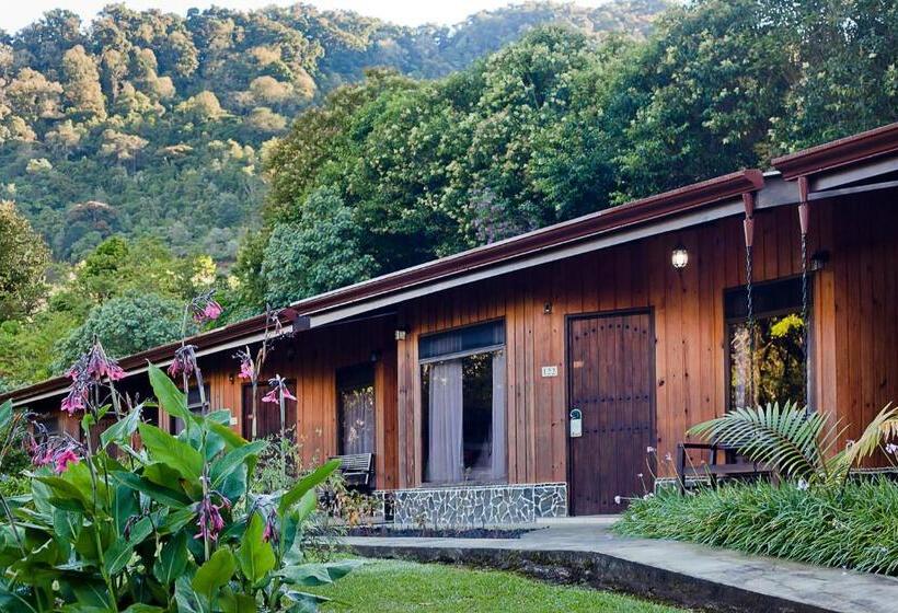 جناح جونيور, Savegre