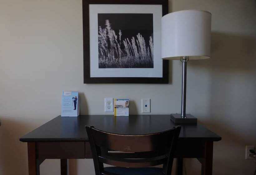 Camera Standard Letto King, Super 8 By Wyndham Peterborough