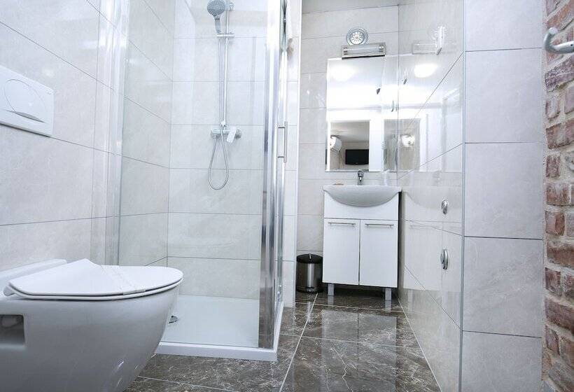 带1个卧室的舒适公寓, Villa Matejuska Heritage