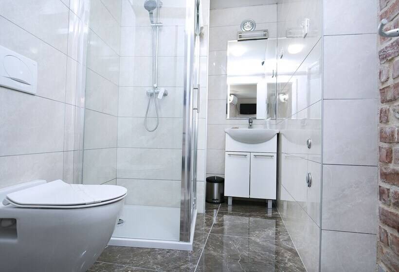 带1个卧室的舒适公寓, Villa Matejuska Heritage