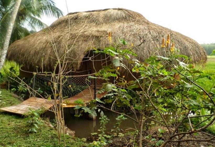 اتاق خانوادگی, Huma Terra Lodges