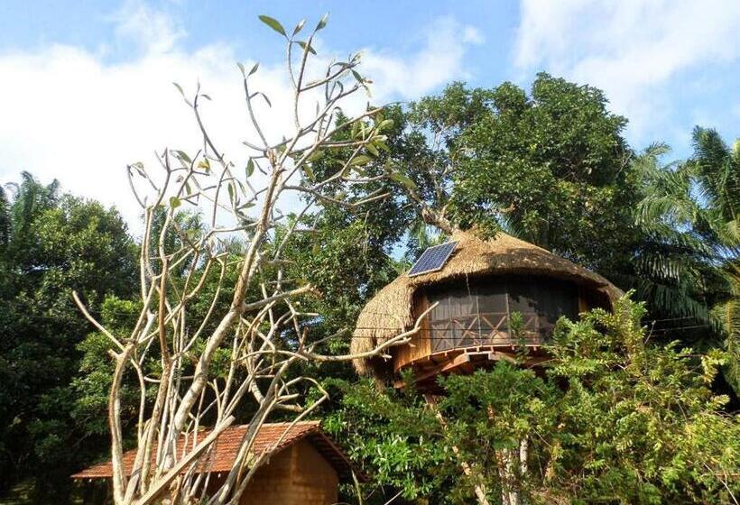 اتاق سهنفرۀ استاندارد با سرویس بهداشتی بیرون از اتاق, Huma Terra Lodges