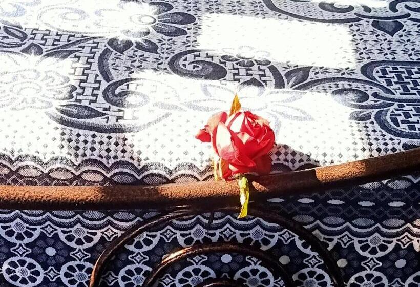 اتاق لوکس با چشم‌انداز دریا, Nuba Tod Abouda Guest House