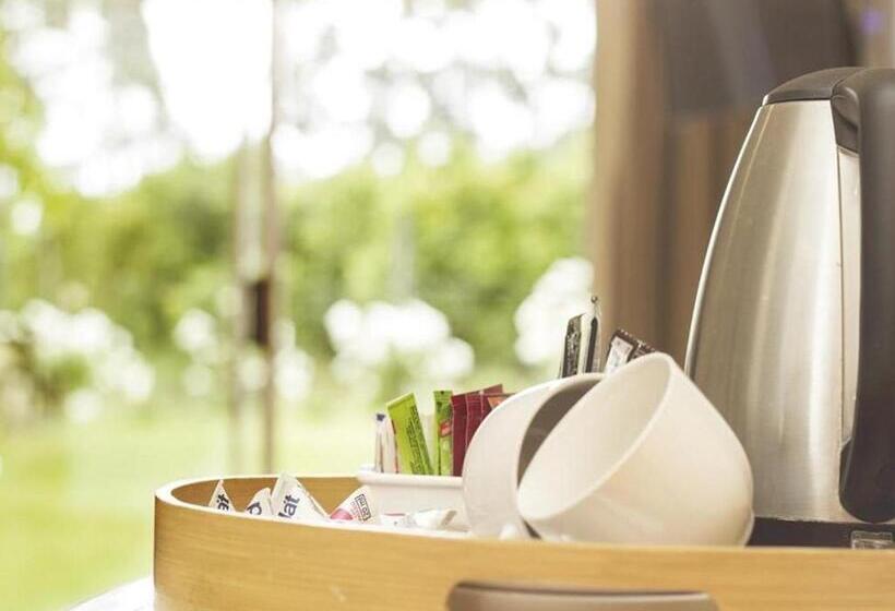 اتاق خانوادگی, Bydand B&b