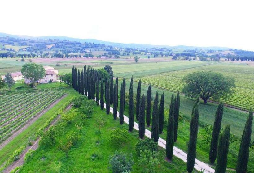 Дом 2 Спальни, Le Case