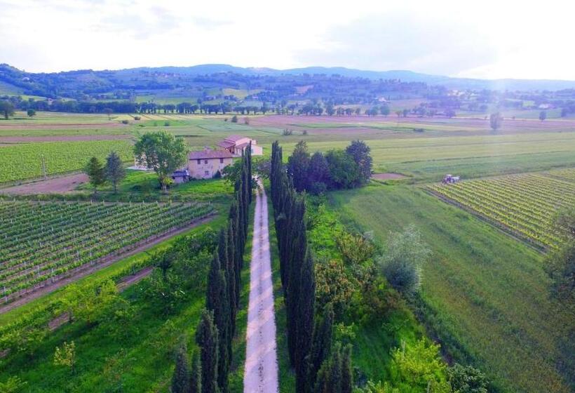 Дом 2 Спальни, Le Case