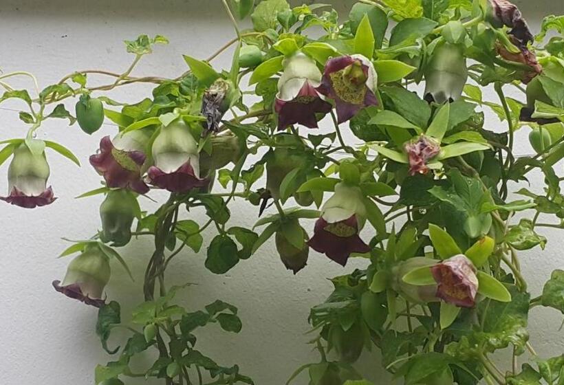 Habitació Quàdruple Estàndard, Jeonju Nostalgic Home