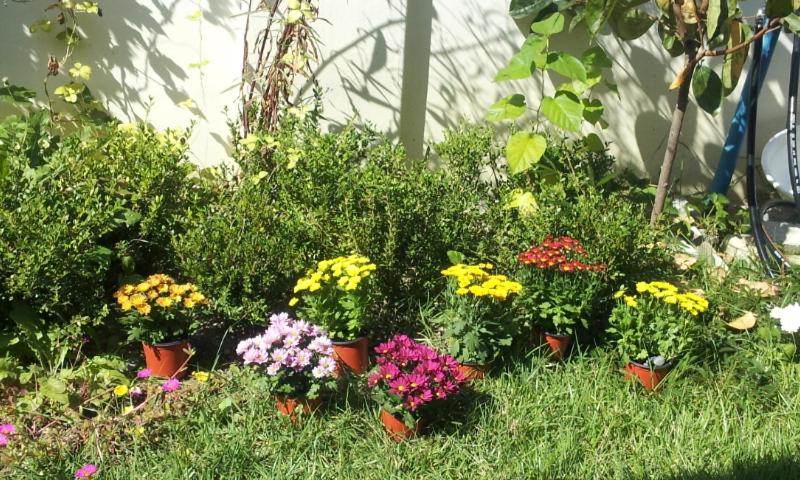 Habitació Triple Estàndard, Jeonju Nostalgic Home