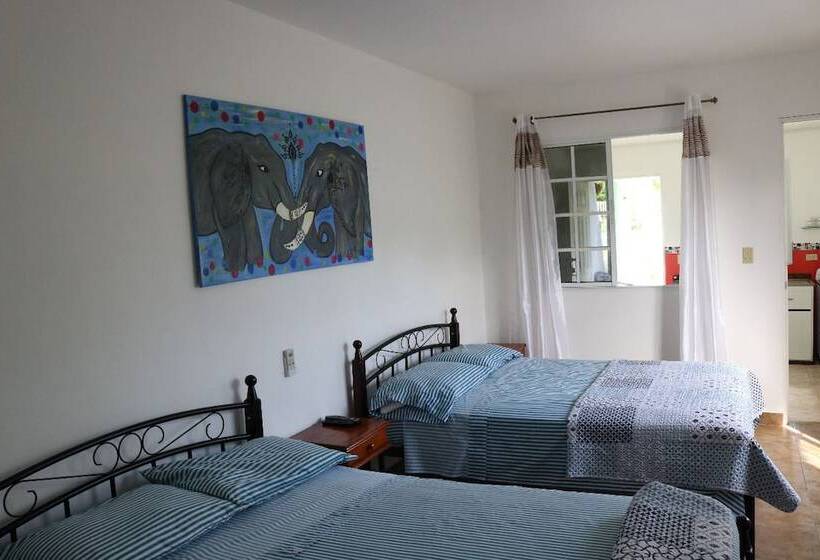 带1个卧室带花园景观的公寓, Bed And Breakfast Little Italy