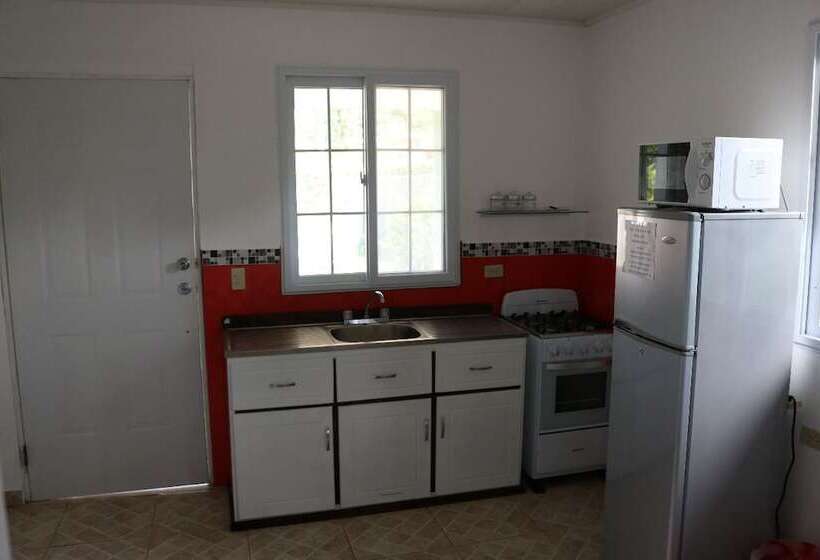 带1个卧室带花园景观的公寓, Bed And Breakfast Little Italy