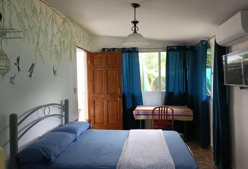 스탠다드 룸, Bed And Breakfast Little Italy