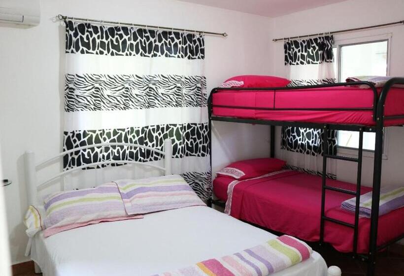 Апартаменты 1 Спальня Вид на Сад, Bed And Breakfast Little Italy