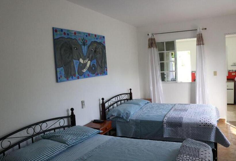 带1个卧室带花园景观的公寓, Bed And Breakfast Little Italy