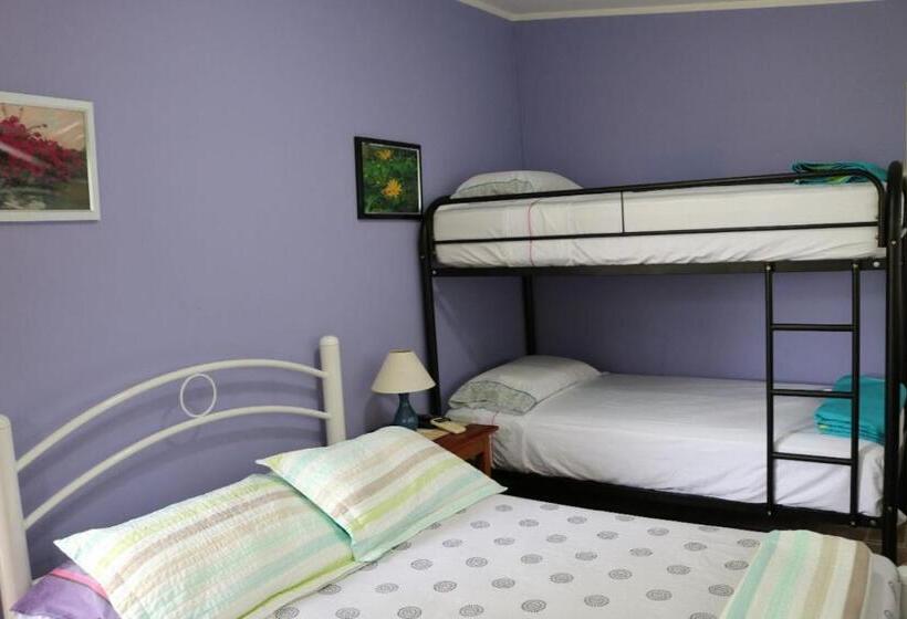 정원 전망 4인용 스탠다드 룸, Bed And Breakfast Little Italy