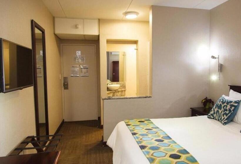 스탠다드 룸, 247 @ White River