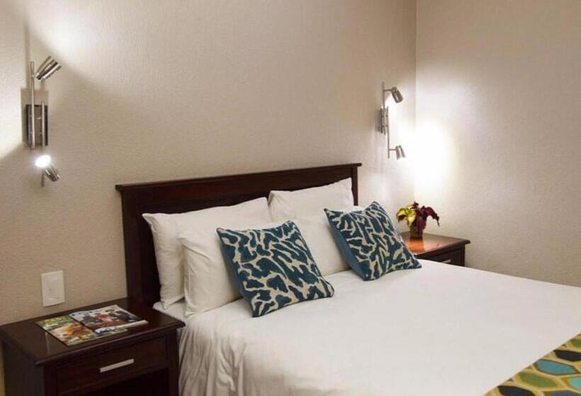 스탠다드 룸, 247 @ White River