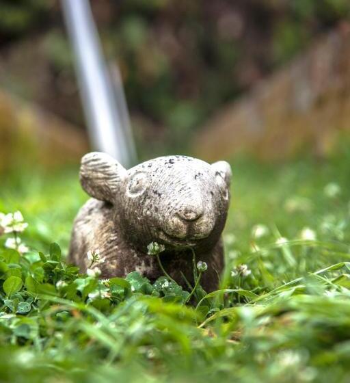 غرفة ديلوكس ثلاثية, Status Hillpark