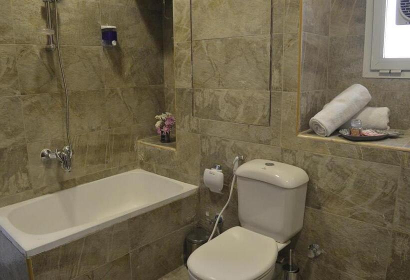 اتاق سوپریور با چشمانداز رودخانه, Nile View Inn