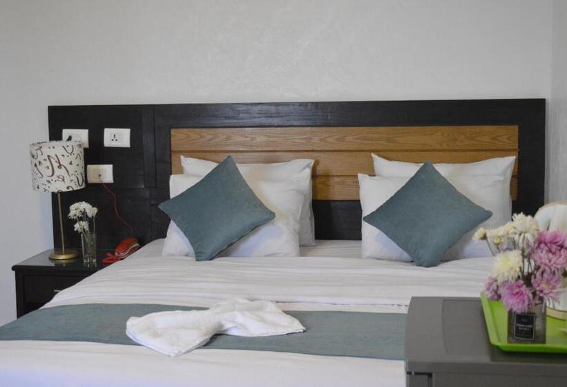 اتاق سوپریور با چشمانداز رودخانه, Nile View Inn