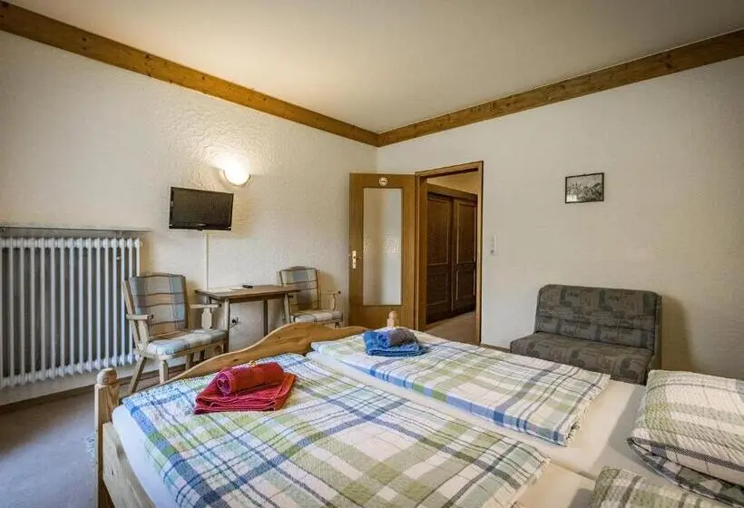 Standard-huone Parveke, Pension Oechsner