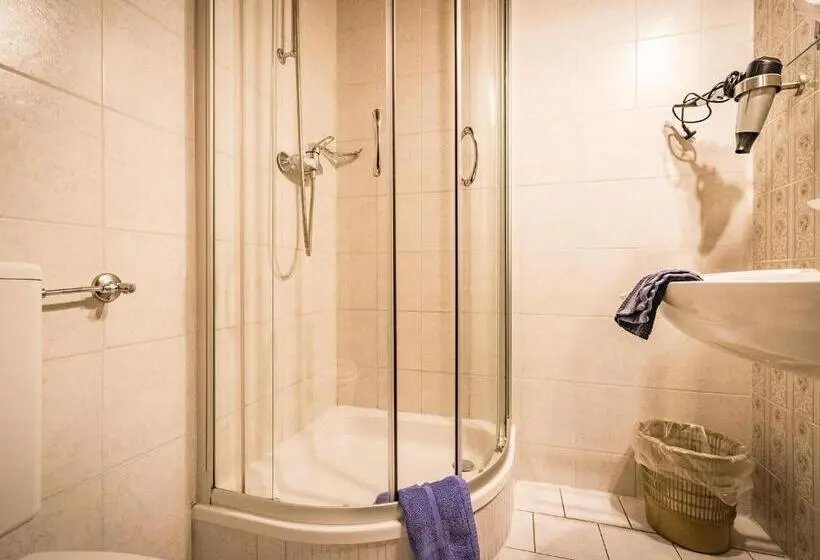 Standard Yhden Hengen Huone, Pension Oechsner