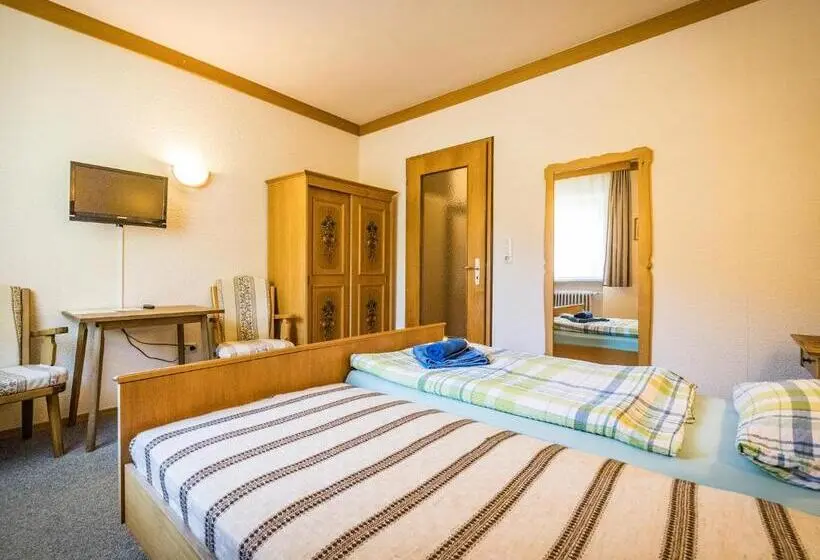 Standard Yhden Hengen Huone, Pension Oechsner