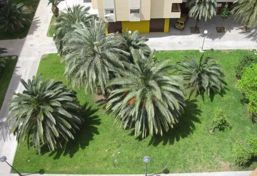 آپارتمان سوپریور 1 خوابه, Apartamentos Plaza Picasso