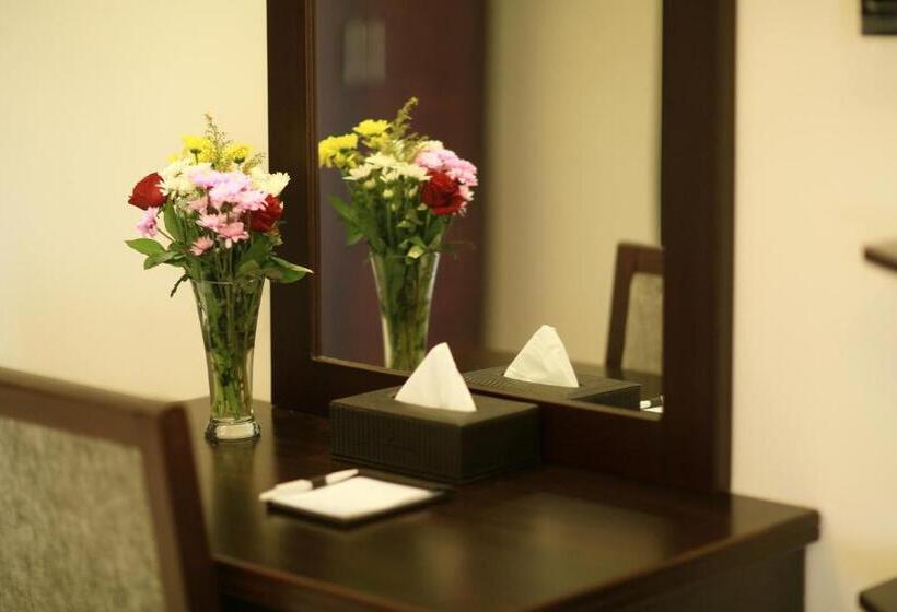 استودیوی استاندارد, Asfar Hotel Apartments