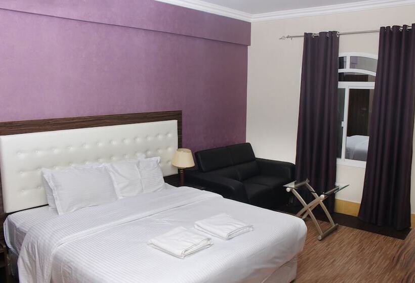 اتاق استاندارد, Delmon Hotel Apartments