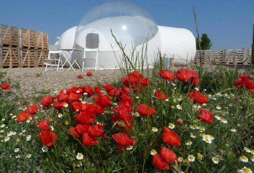 غرفة قياسية, Aire De Bardenas