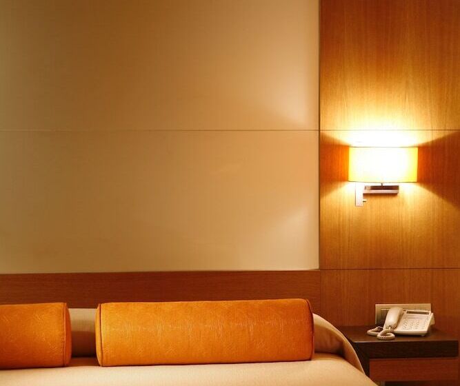 스탠다드 싱글 룸, Altair