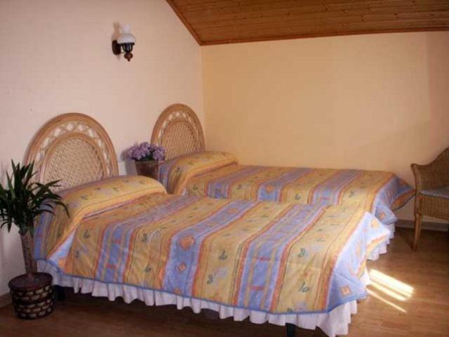 スタンダードルーム, Avet