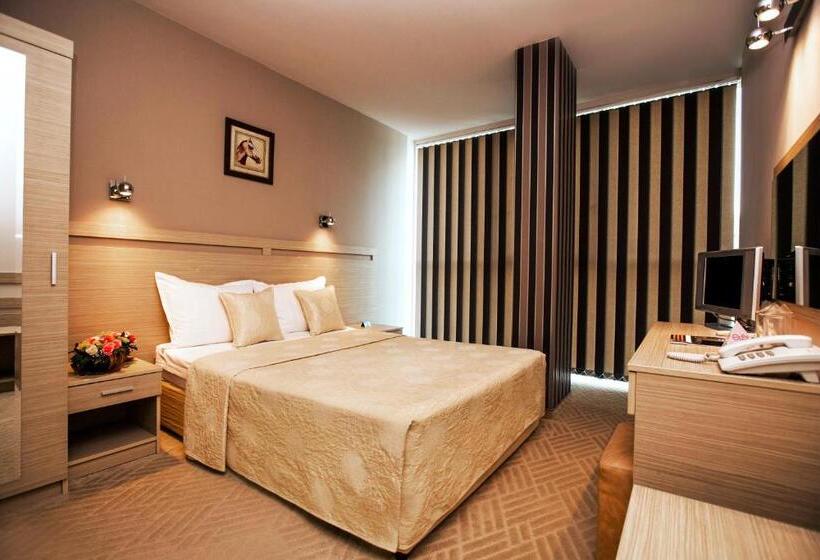 스탠다드 룸, Expo