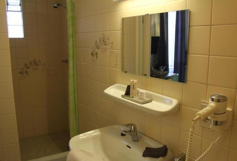 חדר סטנדרט נוף לגינה, Maison Dispa