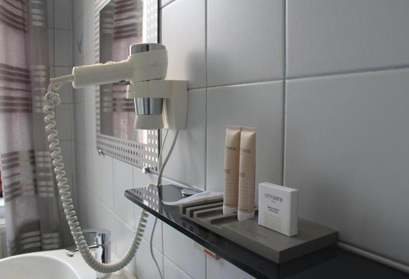 غرفة قياسية, Maison Dispa