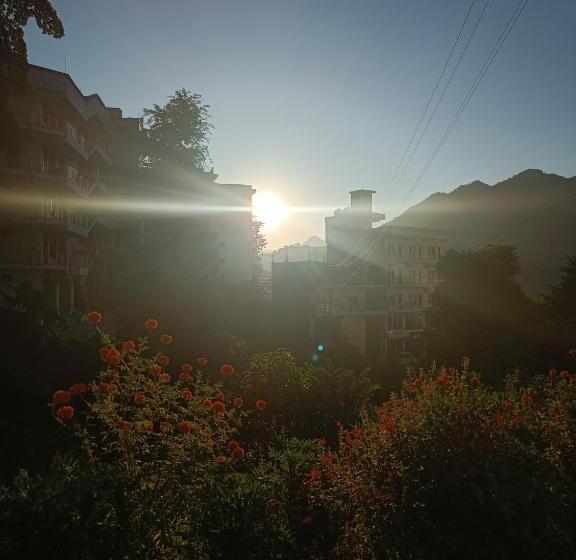 ルームシェアのワンベッド, Hobbit House Hostel