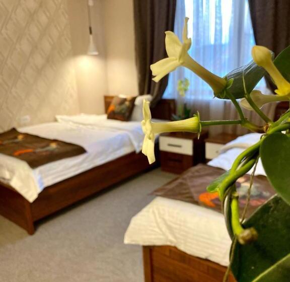 اتاق لوکس, Cube House Osh