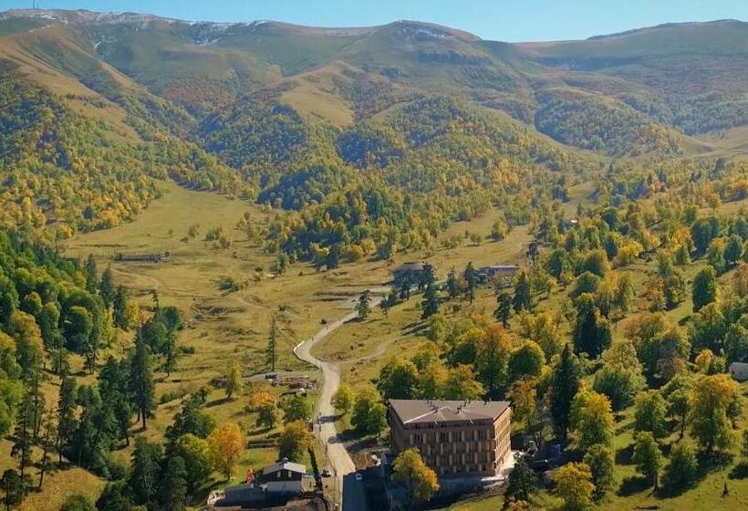 اتاق سوپریور سه تخته, Bakuriani The Valley 115   202