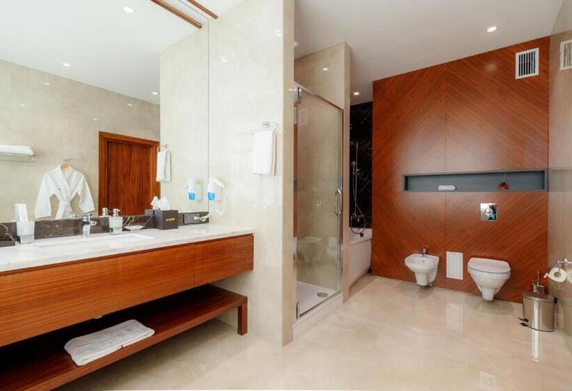 سوییت خانوادگی, сomplex Irtysh